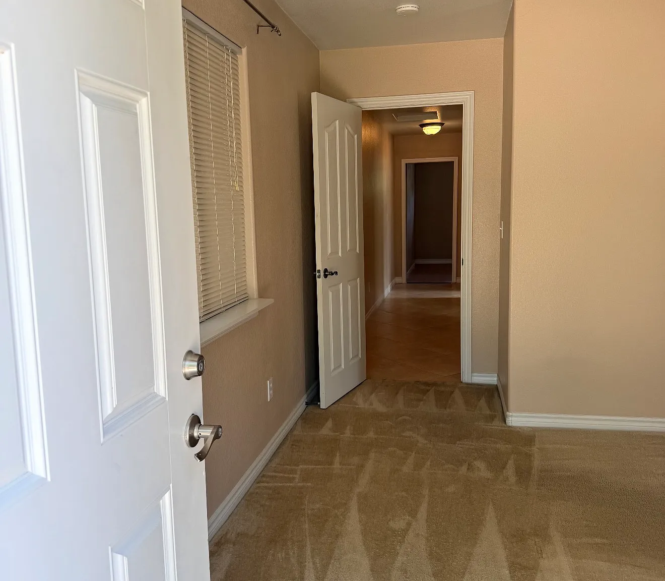 1 bed, $1,550 — Photo 2