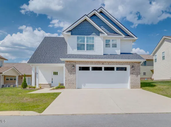 38 Palmetto Ct, Gray, TN 37615