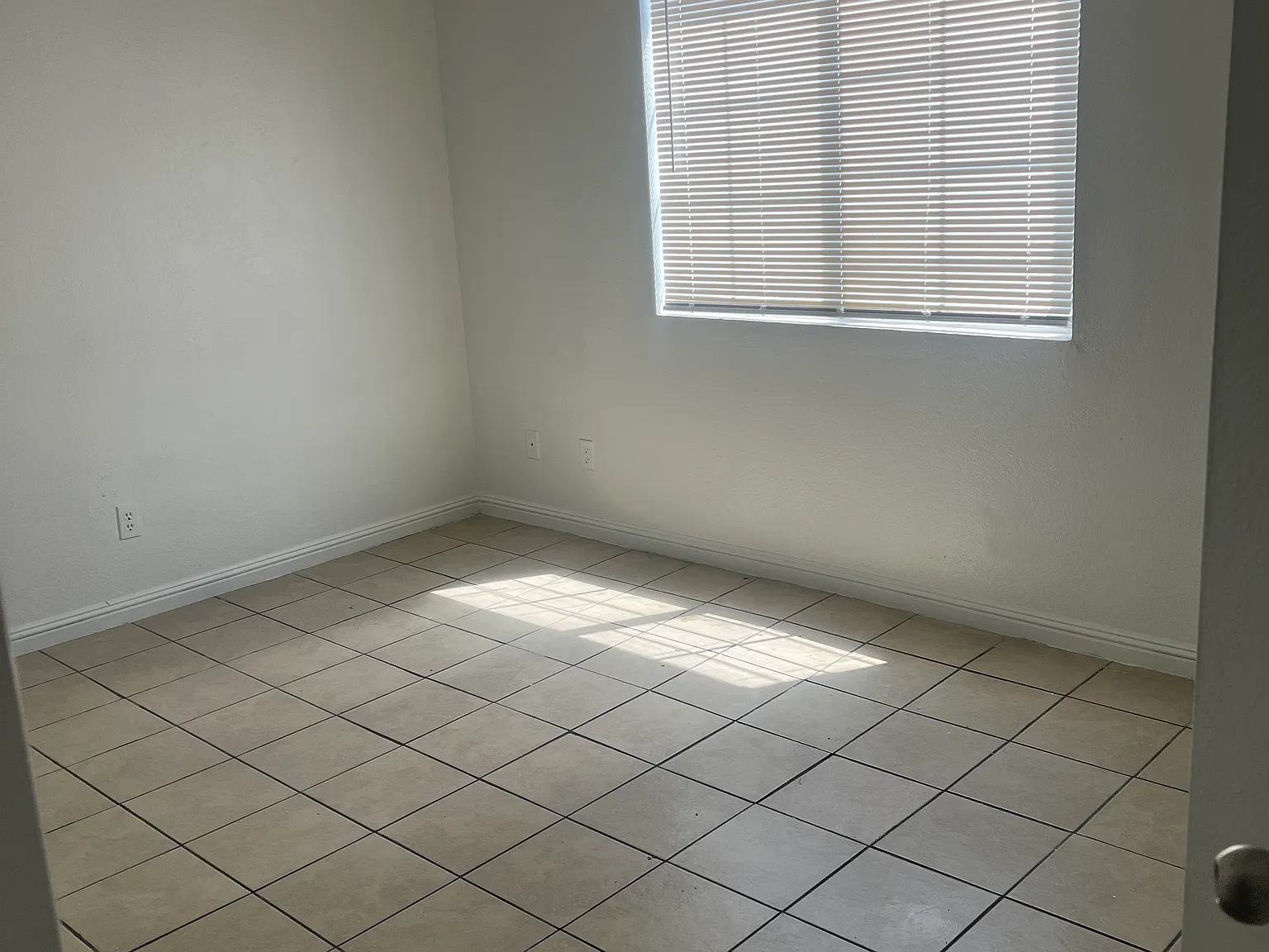 916 Snug Harbor St — Photo 3