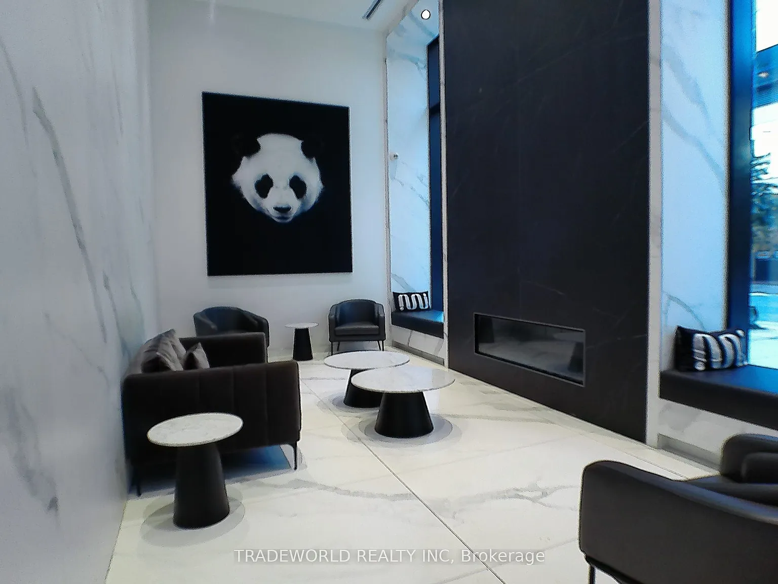 Panda — Photo 4