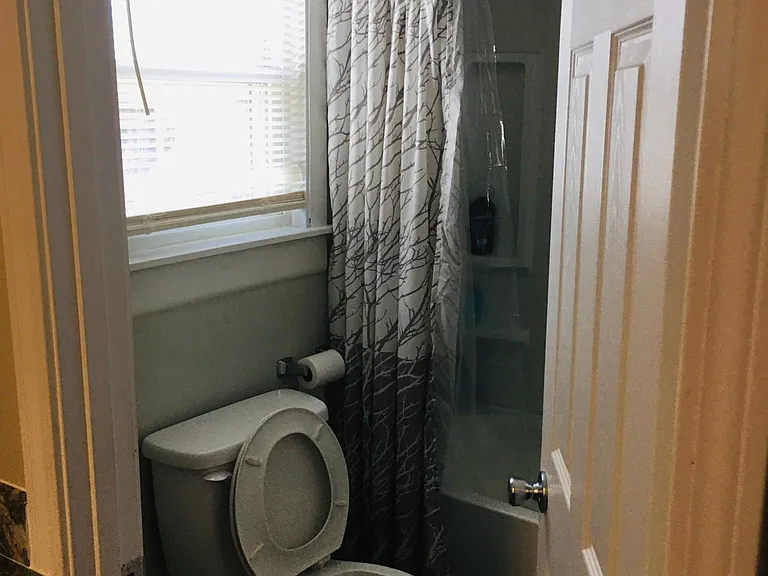 256 Laurel St #2 — Photo 12