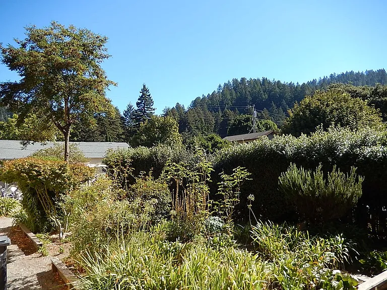 20359 Sunnyside Way — Photo 3