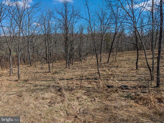 3rd image of 1237 Buckwheat Rd