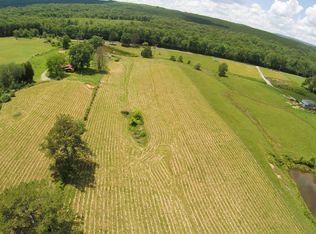 0 Lower Rockwood Rd TRACT 3, Rockwood, TN 37854