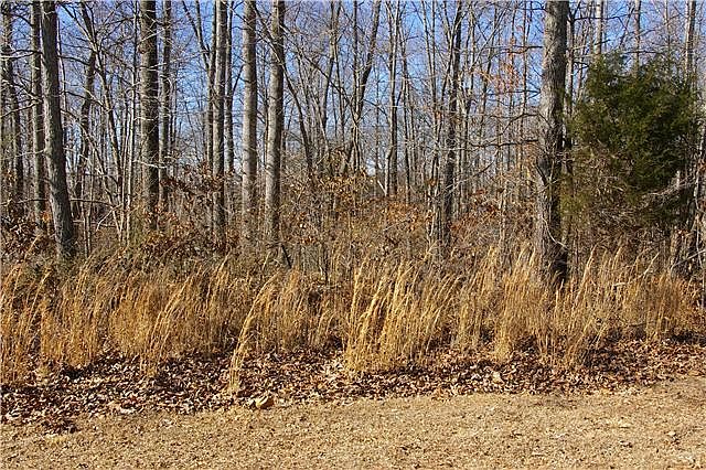 2nd image of 0 Fire Lake Dr Lot 203