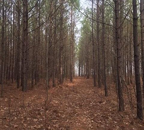 3rd image of 26 Franklin Forest Dr