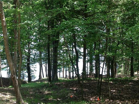 3rd image of Lakeshore Dr