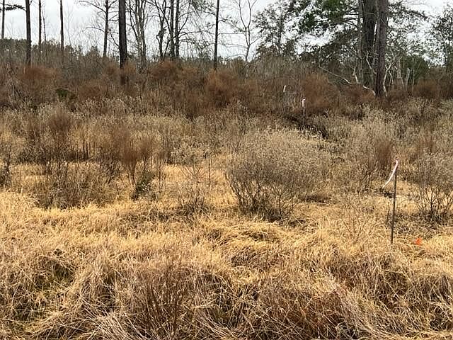 2nd image of 8103 Road 5891