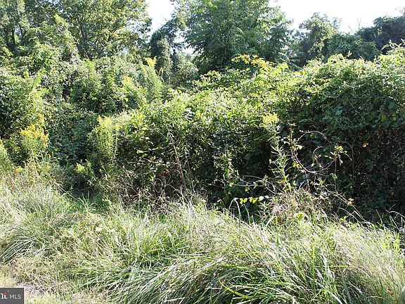 3rd image of 28 Friends Creek Trl