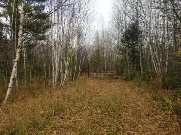 Cole Rd #40A, Crandon, WI 54520