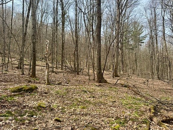 4th image of 653 Frank Briggs Rd