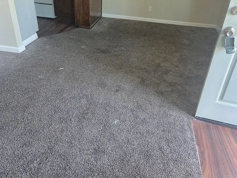 1101B Brandon Ct — Photo 7