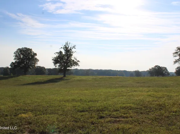 460 Myers Rd, Byhalia, MS 38611