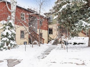 414 Pacific APT B, Aspen, CO 81611