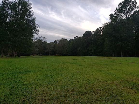 3rd image of 11310 Cole Dr