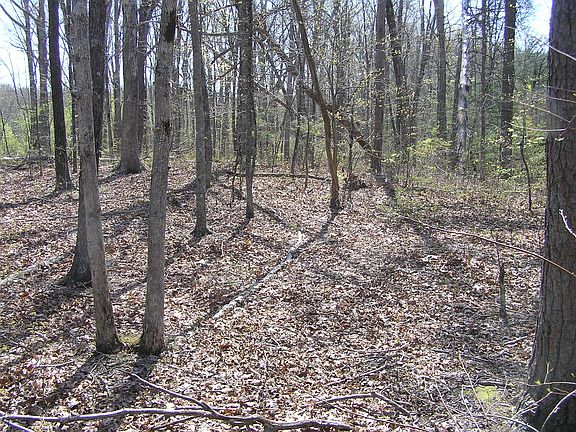 5th image of LOT 25 Gray Creek Rd Unit 25