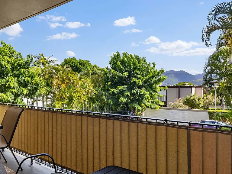 3103 Pualei Cir #203 — Photo 20