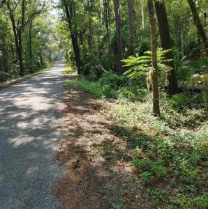 NW 200th Street Rd, Micanopy, FL, 32667