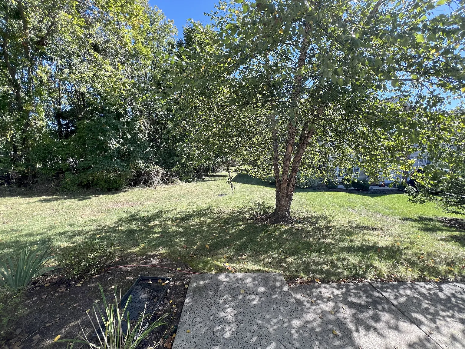 3 bed, 2.5 bath, 1968 sqft, $4,300 — Photo 2