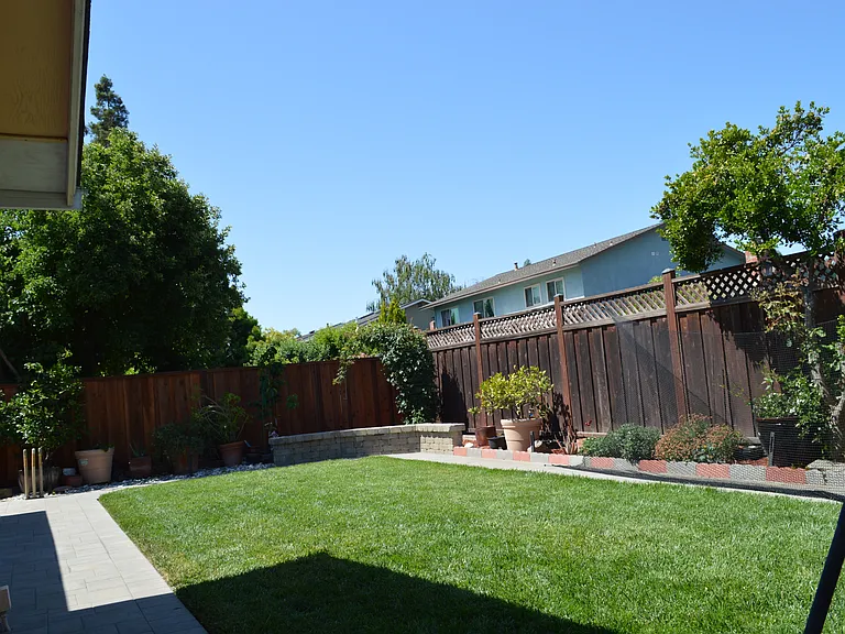 Backyard