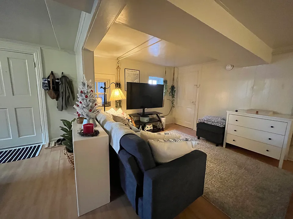 Example of a living room space within this studio apartment.
