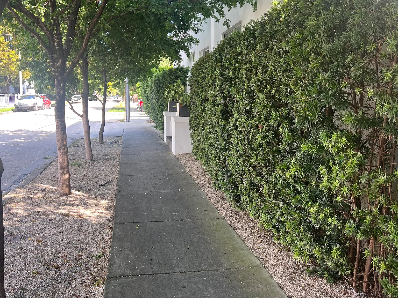 2 bed, 600 sqft, $1,800 — Photo 3
