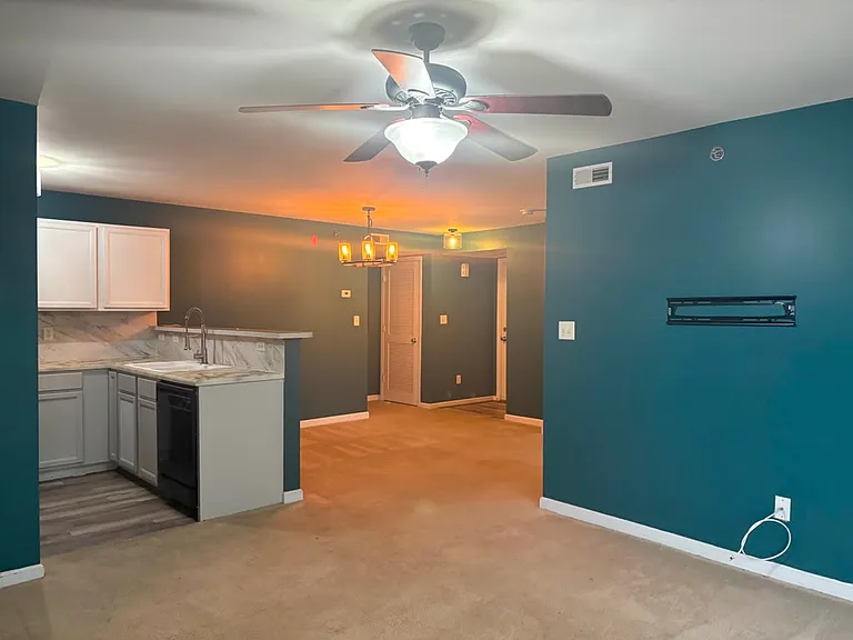 9201 Spring Creek Ln — Photo 20