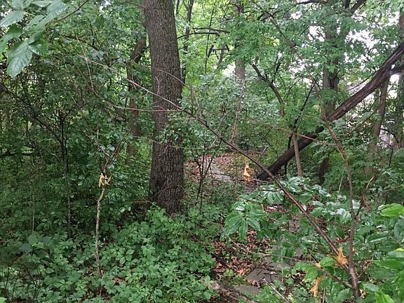 3rd image of 12468 Hoffman Pl