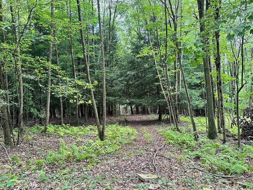 2nd image of 0 Ishman Rd