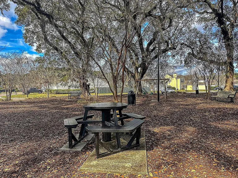 1003 Washitonia Way #C — Photo 36
