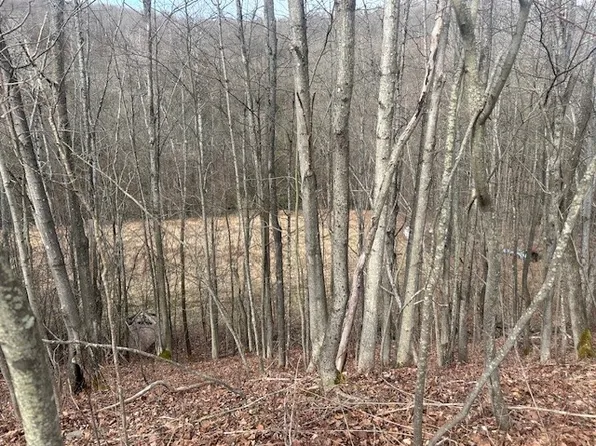 County Road 126 #15, Greenwood, NY 14839