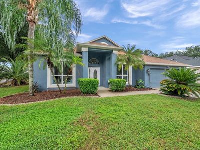 1130 Split Silk St, Valrico, FL, 33594