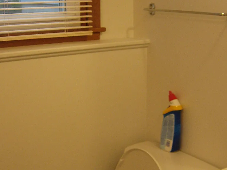 419 N Davis Ave #2 — Photo 7