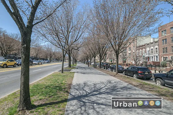 Rented by Urban Pads | media 46