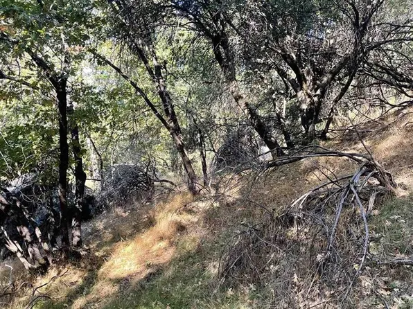 21373 Ridgeview Dr, Sonora, CA 95370