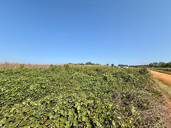 2nd image of Hollis Dairy Rd Lot 2