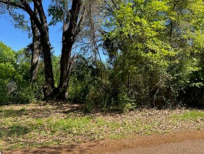0 Timbercrest Dr, Mabank, TX, 75156