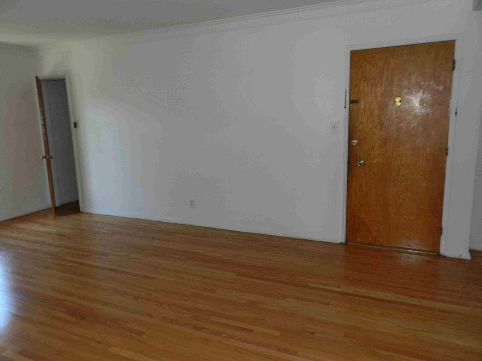 Living room, front door and huge walk-in closet tothe right.