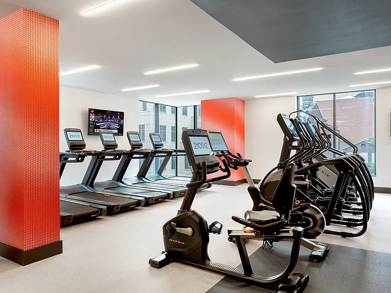 Cardio Equipment