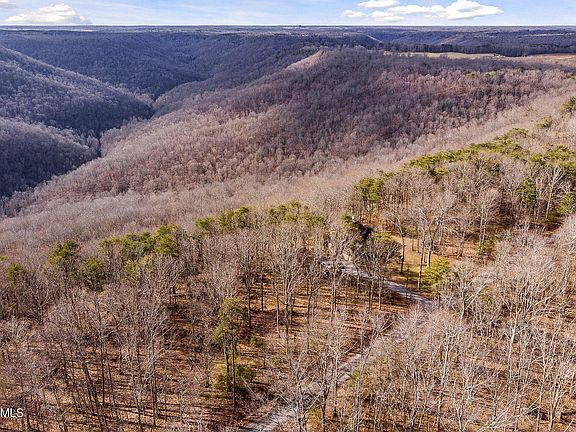 2nd image of 14 Eagle Bluff Cir