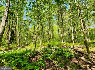 LOT 37 Paradise Rd, James Creek, PA 16657