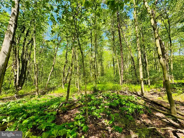 LOT 37 Paradise Rd, James Creek, PA 16657