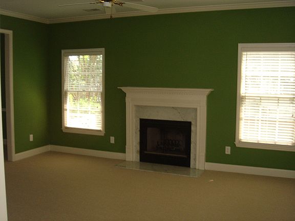 Wood Burning Fireplace in Den!