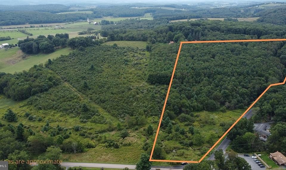 2nd image of Boy Scout Rd