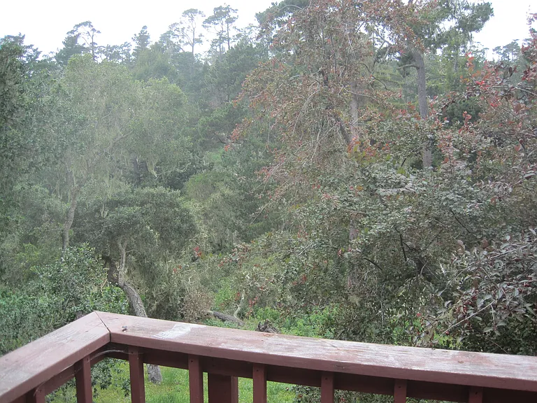 24656 Pescadero Rd — Photo 18
