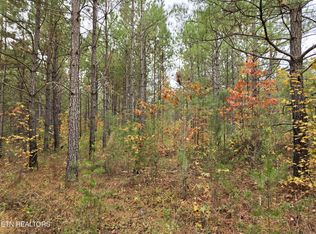 7 Everett Ln, Robbins, TN 37852