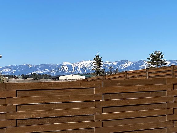 the view