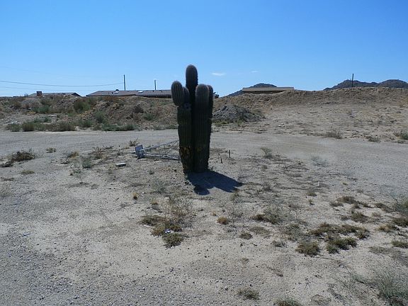 3rd image of 31611 N Roy Rogers Trl