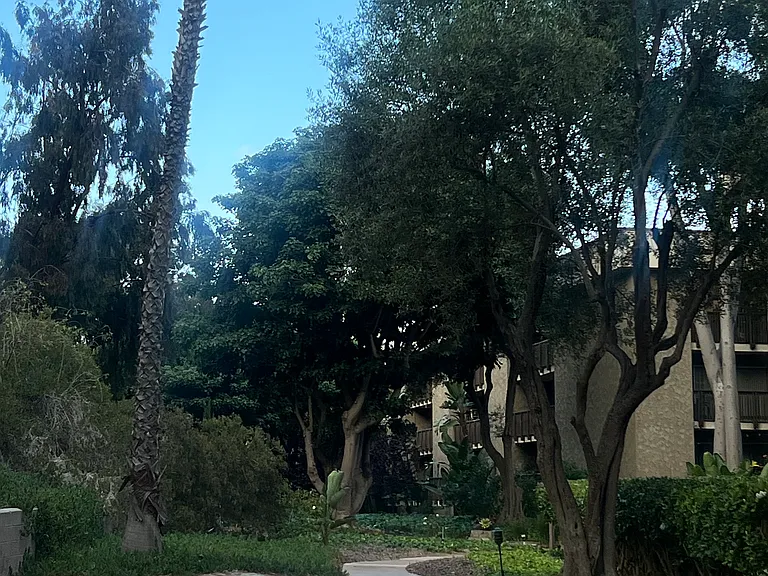 walkway to pool