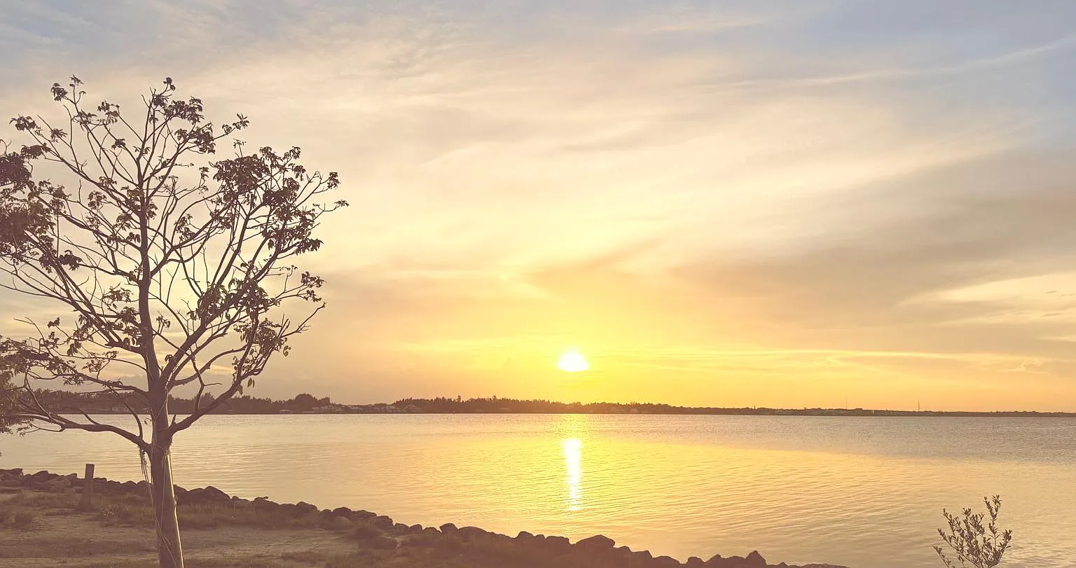 Orchid Reserve Cir, Sebastian — Photo 2